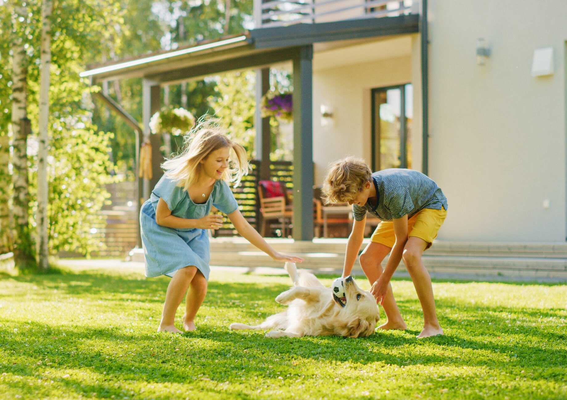 Two children play with a golden retriever on a grassy lawn in front of a modern house. The child on the left, wearing a blue dress, reaches out while the one on the right, in a gray shirt and yellow shorts, playfully pulls on a toy.