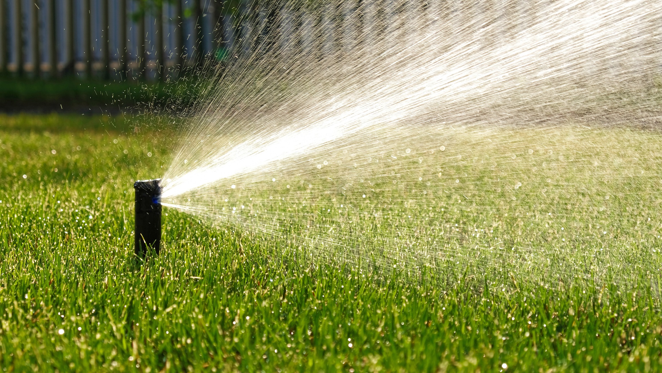 A black sprinkler sprays water over a sunlit, lush green lawn. Droplets glisten in the sunlight, creating a shimmering effect. A blurred background with a wooden fence is partially visible.